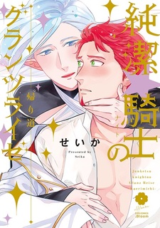 Сияющее путешествие невинного рыцаря: Путь домой