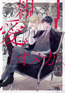 Моему любимому омеге