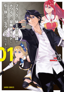 Раб Чёрных рыцарей завербован Белой гильдией в качестве авантюриста ранга S