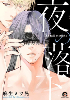 Ночное падение