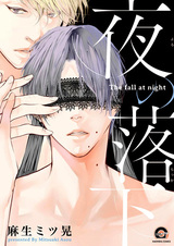 Ночное падение