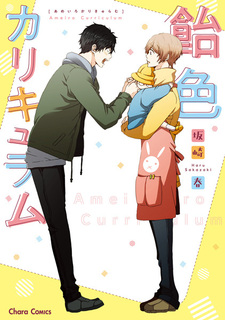 Учебная программа Амэйро