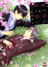 Когда цветёт сакура