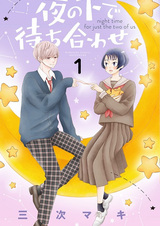 Встреча под покровом ночи