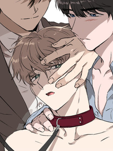 Приватные занятия