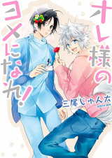 Стань моей женой!