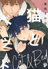 Кот и постель