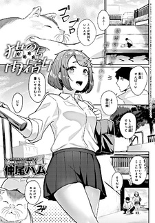 Neko Nochi Amayadori