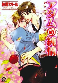 Невинность Адама