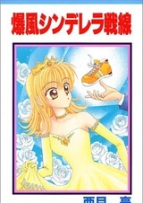 Взрывной фронт Золушки