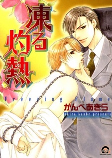 Ледяное пламя