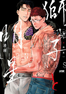 Лев и венера