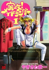 Атака громовой горничной