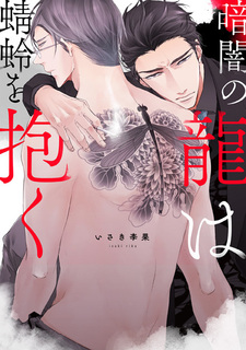 Тёмный дракон, обнимающий стрекозу