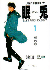 Спящий кролик