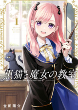 Чёрная кошка и класс ведьм