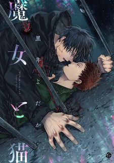 Колдун и кот