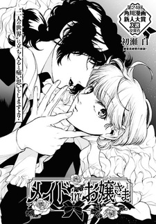 Служанка госпожи