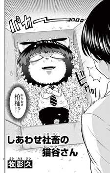 Shiawase Shachiku no Nekoya-san