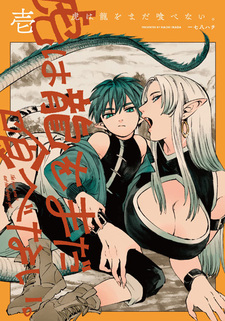 Тигр ещё не съел дракона