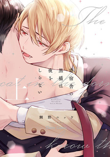 Чёрный кот в пансионате не спит по ночам