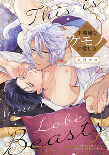 Fukigen na Kemono no Aishikata