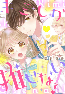 Kimi shika Osenai!