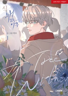 Дерево без корней