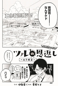 Tsuru no Ongaeshi: AT Gentei