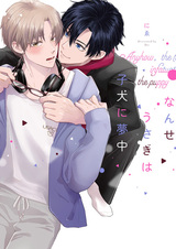 Как бы то ни было, кролик без ума от щенка