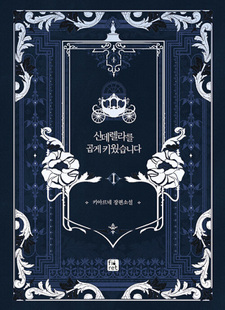 Я воспитала прекрасную Золушку