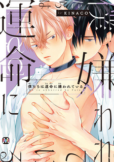 Судьба ненавидит нас