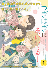 Tsugihagi ni Aijirushi