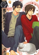 Бродячий кот