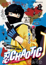 Хаотичный синоби