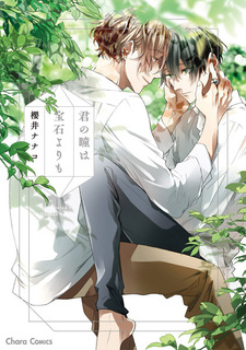 Kimi no Hitomi wa Houseki yori mo