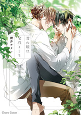 Kimi no Hitomi wa Houseki yori mo