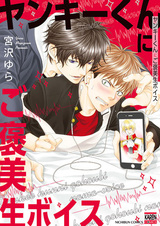 Yankee-kun ni Gohoubi Nama Voice