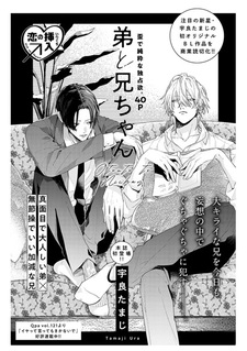 Otouto to Niichan