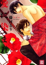 Краски любви