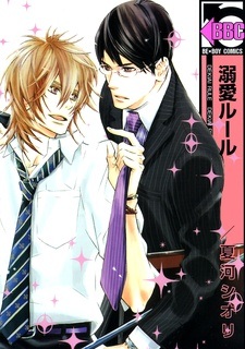 Правила страсти