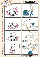 Борода и панда