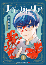 Навигатория