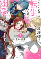 Cinderella no Giri Ane ni Tensei shita kedo Futari no Ouji ni Dekiai sareteimasu