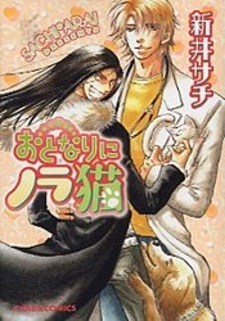 Бродячий котёнок, живущий по соседству