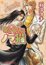 Бродячий котёнок, живущий по соседству