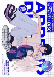 Дополнительный диск