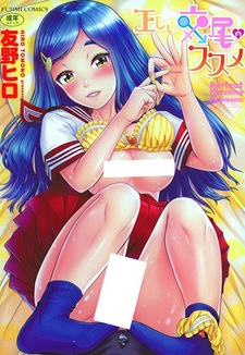 Tadashii Koubi no Susume