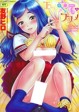 Tadashii Koubi no Susume