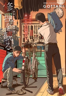 Смотреть за ремонтом